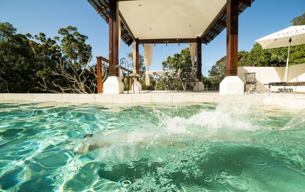 Ringtail Creek Alaya Verde Bed & Breakfast מראה חיצוני תמונה